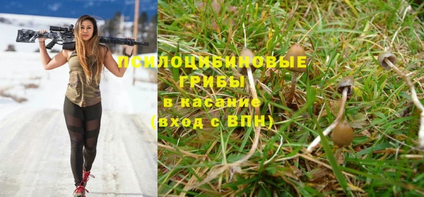 хмурый Алексеевка