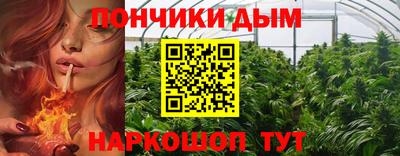 гашик Протвино