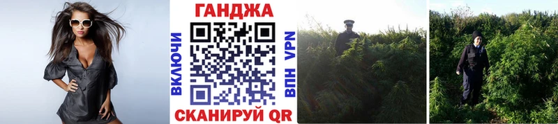 Канабис гибрид  Карабулак 